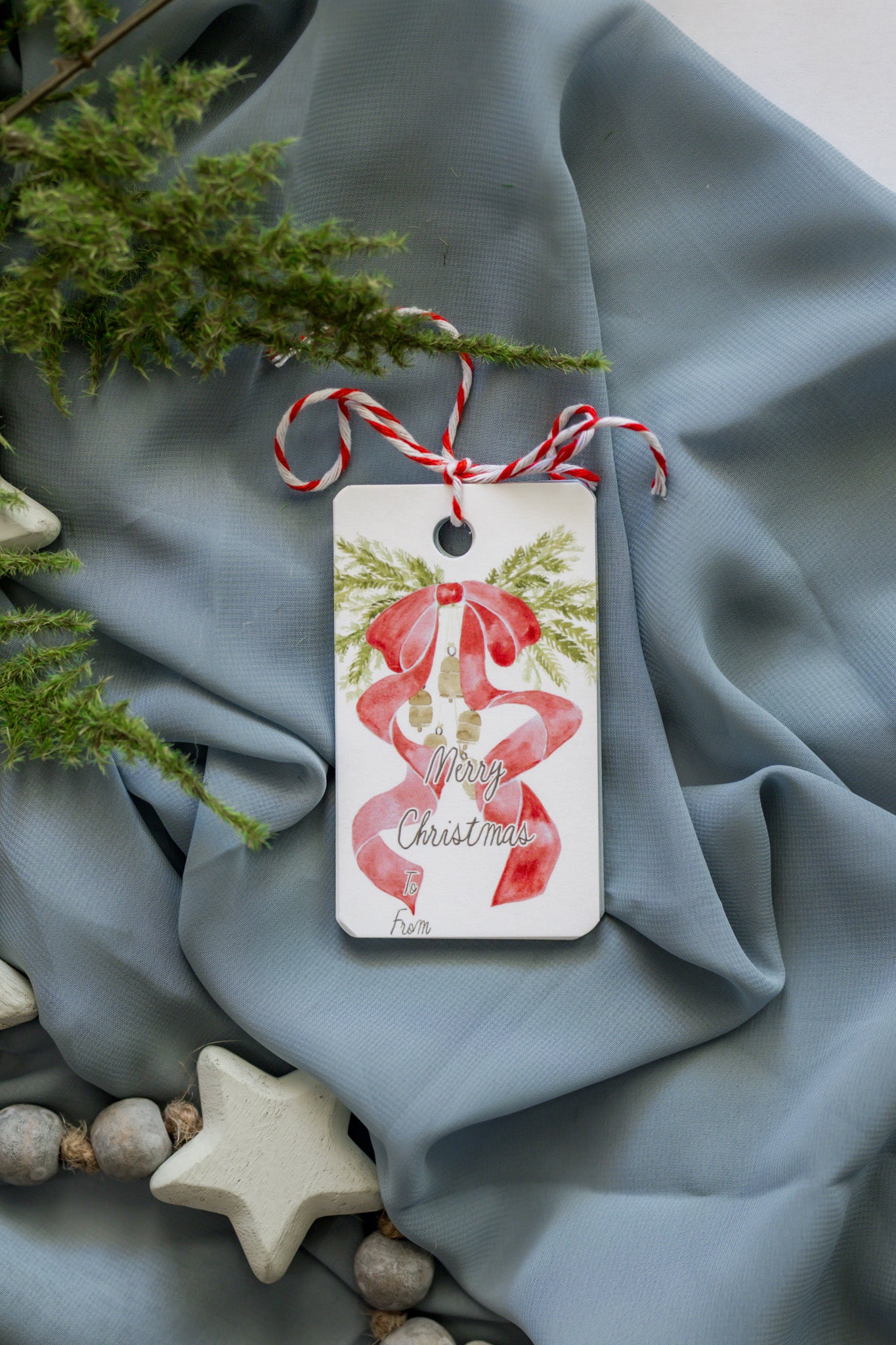Variety Set of 12 Christmas Gift Tags: Red Bow + Swag