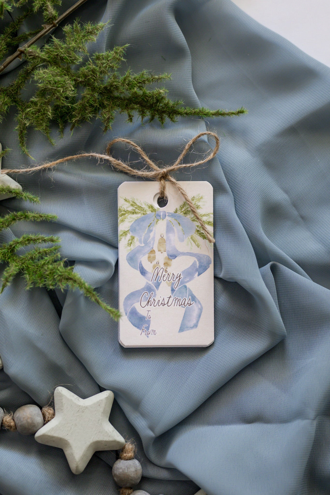 Variety Set of 12 Christmas Tags: Blue Bow + Swag