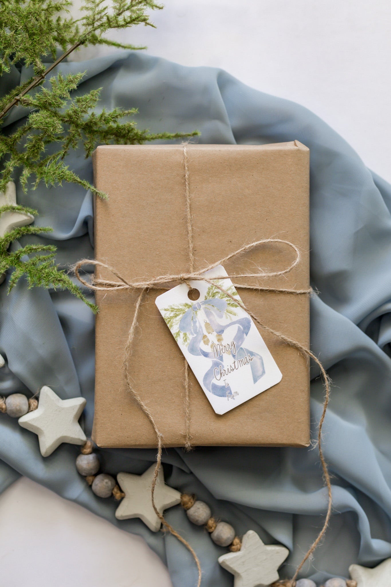 Variety Set of 12 Christmas Tags: Blue Bow + Swag