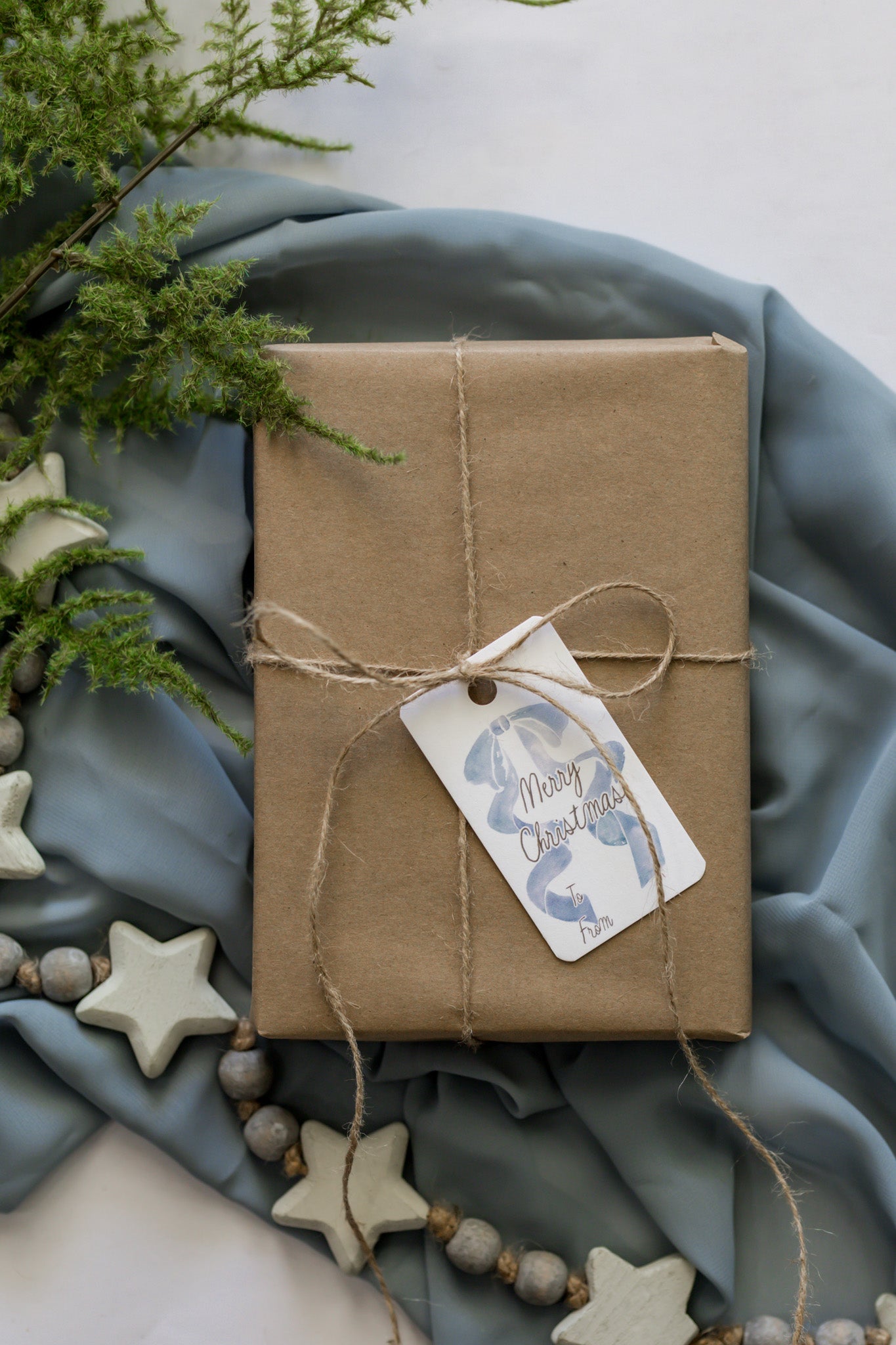 Variety Set of 12 Christmas Tags: Blue Bow